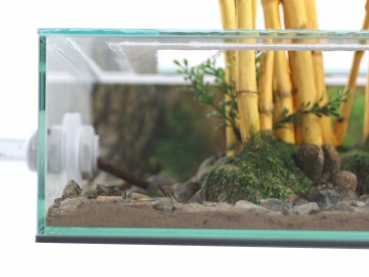 ANTCUBE - arena 60x30x10 - flat